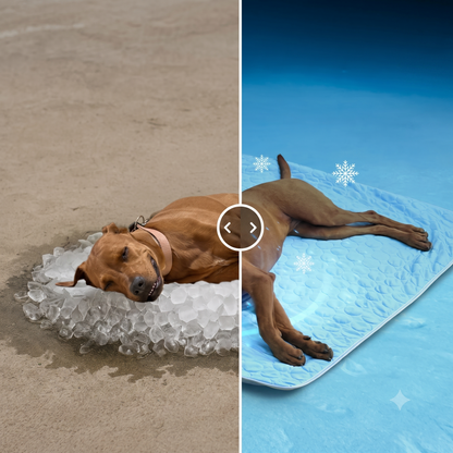 Alfombrilla de refrigeración para mascotas