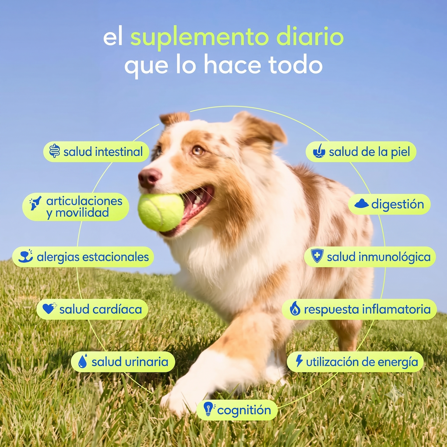 Nutrición Total