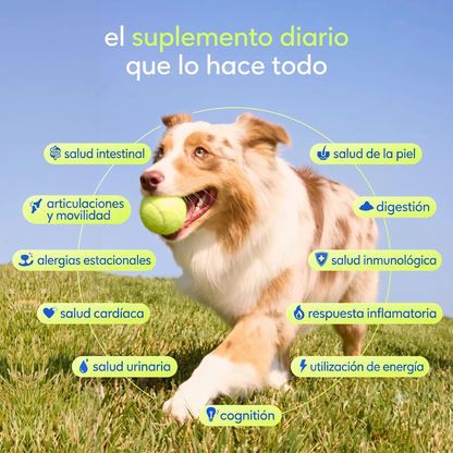 Nutrición Total