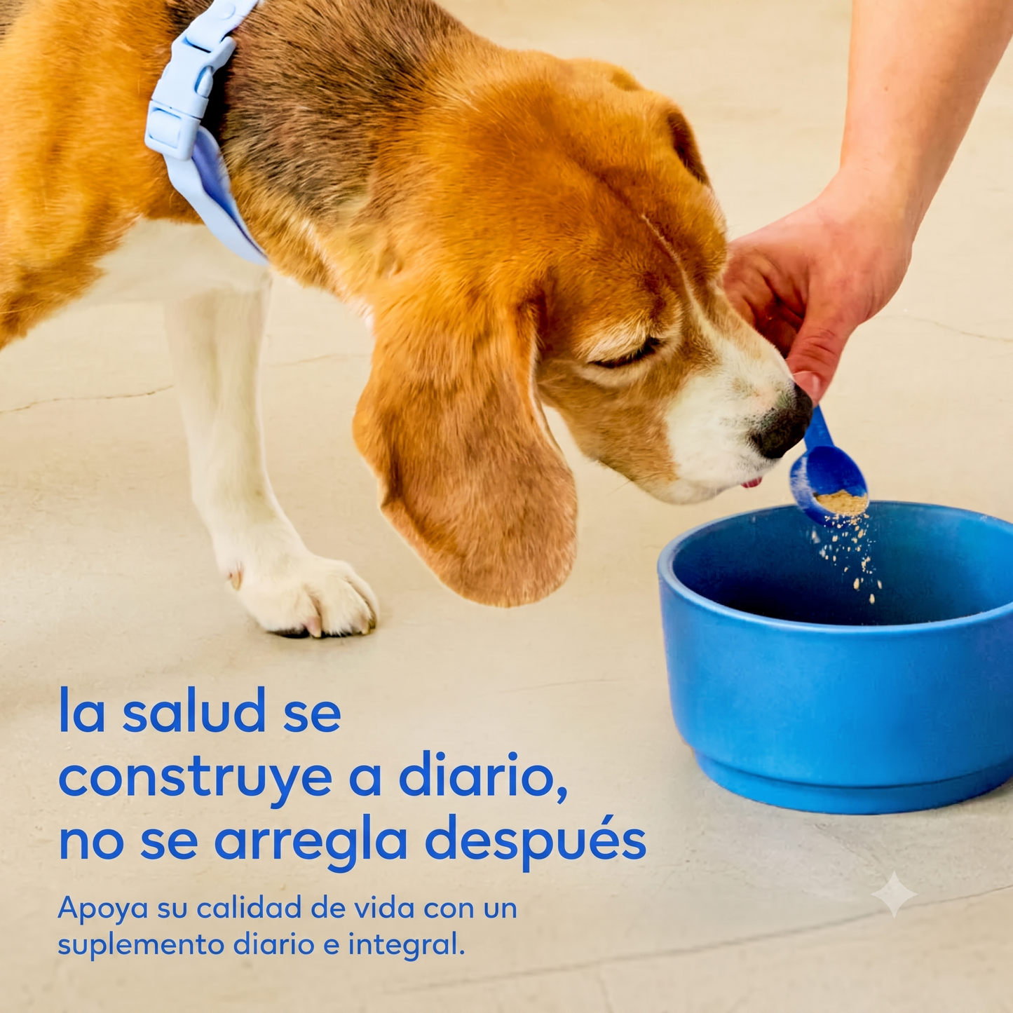 Nutrición Total