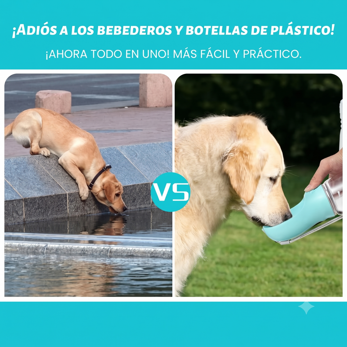 Paseos Comodos