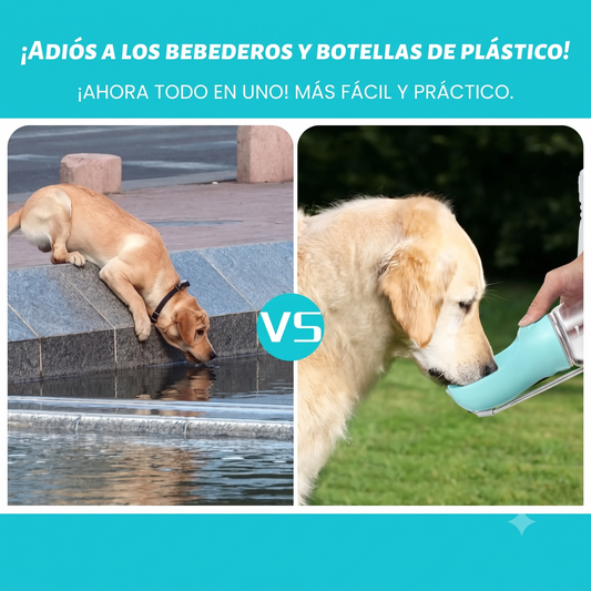 Paseos Comodos